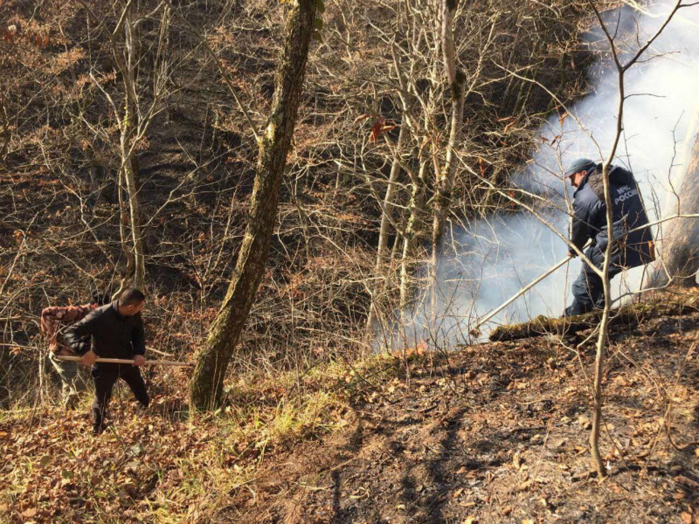 В горах Сочи спасатели полностью потушили два лесных пожара