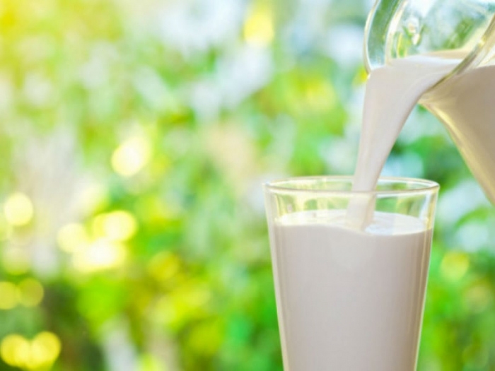 На Кубани производство питьевого молока выросло на 9,6%