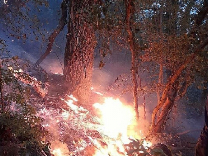 В Новороссийске произошел пожар на горе Колдун, его тушили более четырех часов