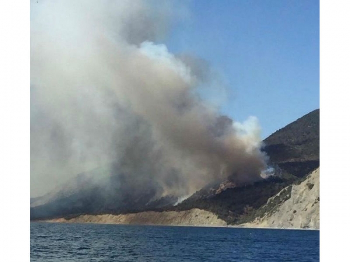 Из-за лесного пожара в Анапе эвакуировали 350 человек