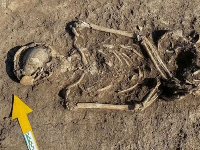 Антрополог: могилу половецкого воина под Краснодаром сначала приняли за криминал