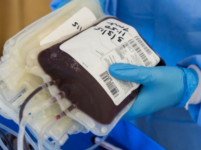 Кубанская молодежь за день сдала 60 литров крови