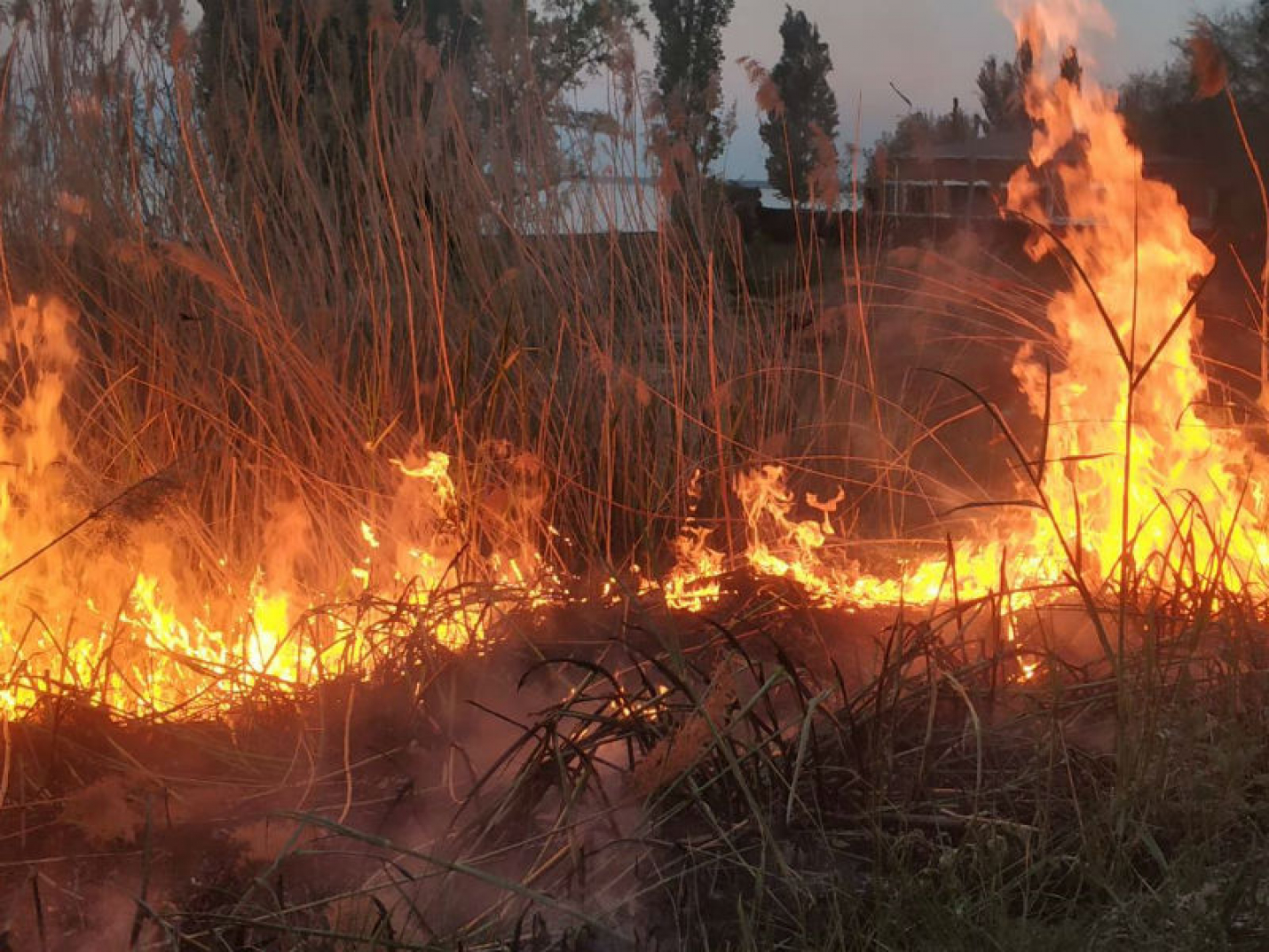 Пожарные ликвидировали все лесные пожары в Сочи
